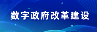 數字政府改革建設